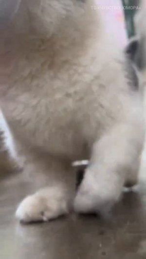)))))