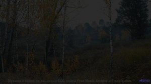 Романтика бесконечного шоссе и одного общего пледа на сиденье - Zeremonienmeister -- Berstgefahr --