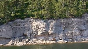 На Красноярском море туристов поразила неожиданная встреча с маралами