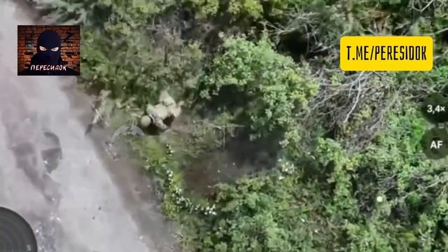 Двум ВСУшникам не дали позажиматься в кустиках