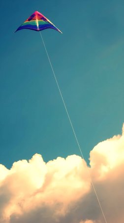 Golden Kite