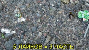 Как приручить шмеля (подначка)