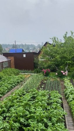 ВСЕМ ДАЧНИКАМ ПОСВЯЩАЕТСЯ