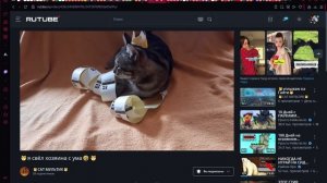 🐱я свёл хозяина с ума🤣🐱