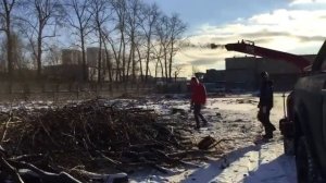Дробление веток деревьев в щепу 3 - LiWood