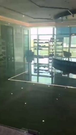Электронная тонировка