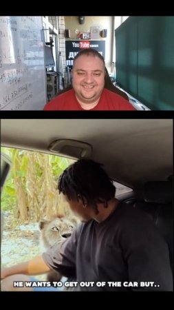 Bro is still alive..