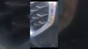 GAC