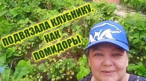 Подвязка клубники I Простой способ от гнили и слизня