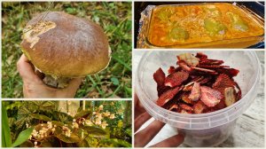 Грибы пошли! Купила розу. Готовлю перец фаршированный в духовке. Чипсы 🍓 готовы 🤤👍