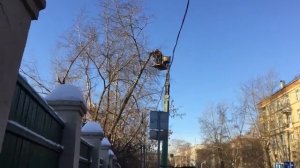 Обрезка деревьев с автовышки - LiWood