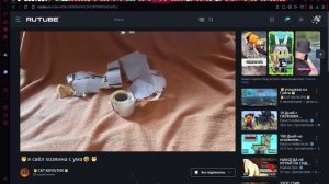 🐱я свёл хозяина с ума🤣🐱 3