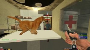 DRЫNDA [ ДРЫНДА ] - ПОСТРОИЛ виртуальную КЛИНИКУ и ЛЕЧУ в GARRY'S MOD DARK RP