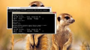 Пропал диск на компьютере Windows 11.