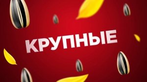Семечки "Джинн" 2020