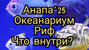 31 #Анапа. #Океанариум Риф 10-07-2025