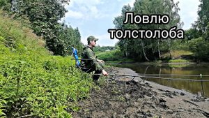ПРИШЕЛ ЛОВИТЬ ТОЛСТОЛОБА И...