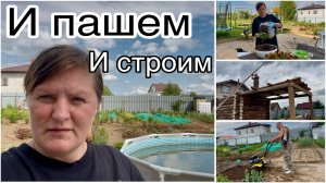 Пришла долгожданная посылка. Пересадила Петунию в кашпо. Выставили стропилы на баню