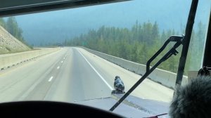 Первый день дальнобоя по США на Кеше, Kenworth W9 Montana