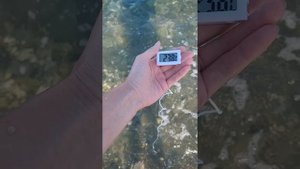 ГДЕ ЕСТЬ МАЗУТ?!ПРОВЕРЯЮ ПЛЯЖИ СОЧИ!ДОСТОВЕРНАЯ ИНФОРМАЦИЯ