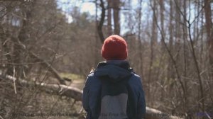 Музыка превращает путешествие в личный фильм - How Can Things Be -- HoliznaCC0 -- Orphaned Media