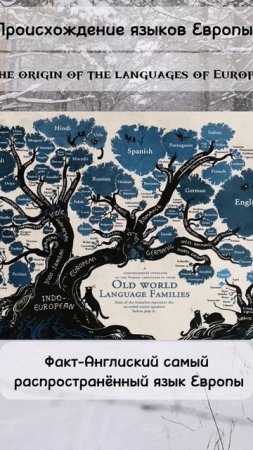 происхождение языков Европы. the origin of the languages of Europe. #euro #europe #language #евро