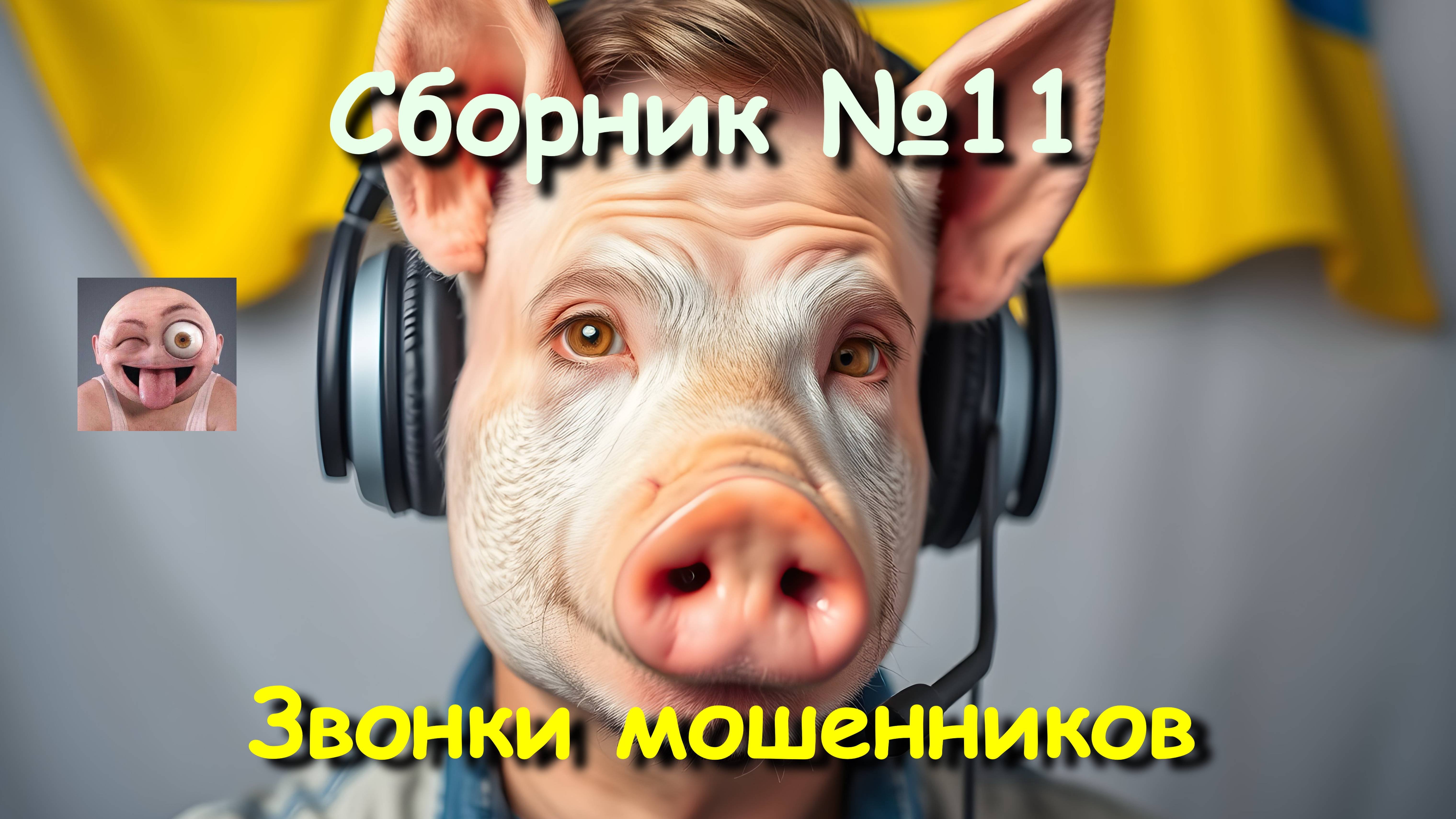 Сборник №11