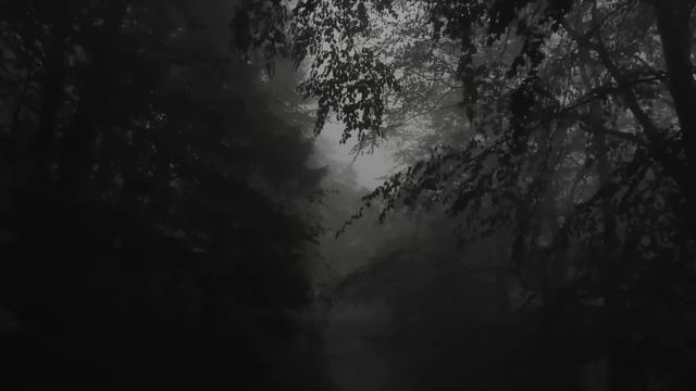 Исчезновение поезда с ядерным БЖРК. Страшные истории на ночь. Мистика про лес смотреть онлайн