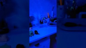 обзор и уничтожение тама Хомяков.