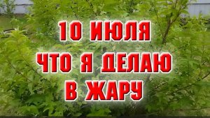 10 июля. Что я делаю в жару