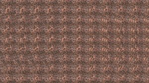 Стереокартинки + музыка = идеальный офисный перерыв • Визуальный перерыв