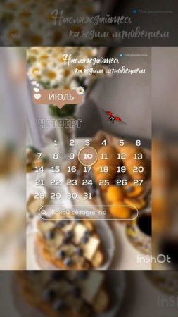 День пикника с плюшевым мишкой !😊👍🐻