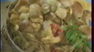Ольга Копосова в рекламе масла 'Злато'