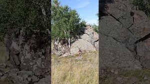 поход за синей яшмой