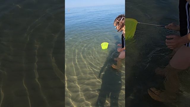 ловим краба в море 10.07.25