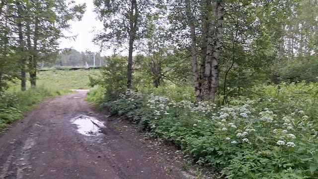 Прогулка по мрачной тропе лесопарка