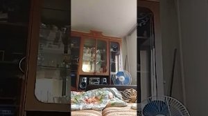 секс с утречка