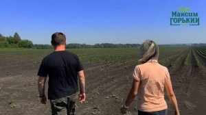 Agrofirma "Uchumskaya" — Modern Potato Farming in Siberia | POTATOES NEWS Tour