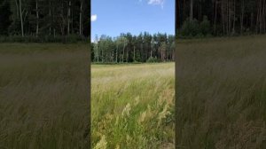 велопрогулка на Лохин остров