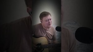 ЛЕБЕДИ автор исполнитель Алексей Блохин (знакомые куплеты) #кавер #песниподгитару #песнидлядуши