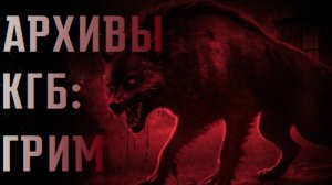 АРХИВЫ КГБ: ГРИМ || СТРАШНЫЕ ИСТОРИИ #50