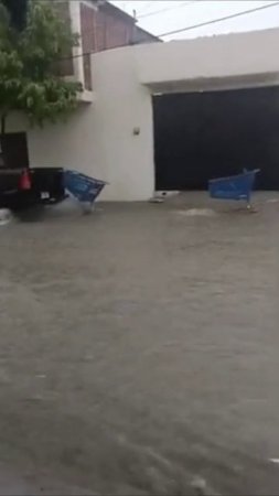 Не разлей вода