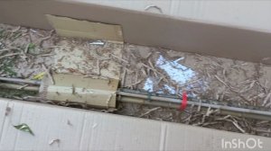 Приехал мой подарок))