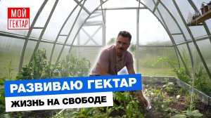 ОБЗОР МОЕГО ГЕКТАРА В 2025-М | НАВЕС, ТЕПЛИЦА, САД | ИНСТИТУТ ДЛЯ ОГОРОДНИКОВ | ОТ СОХИ ДО СОХИ