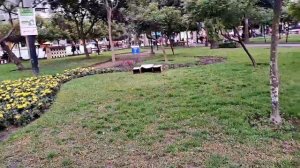 Прогулка по Лиме Перу. Путешествия не для всех. Спокойно и честно. Латинская Америка как она есть