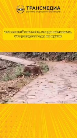 у вас есть такой?