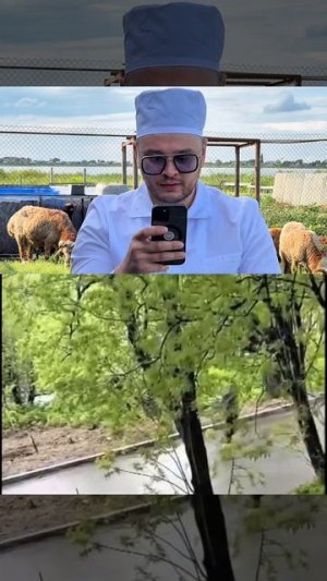 А вы что думаете об этом?