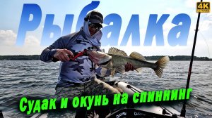 Судак и окунь на спиннинг в июле 2025