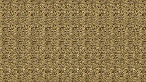 Учёба закончилась — теперь время для глазной медитации • Стереопауза после учёбы