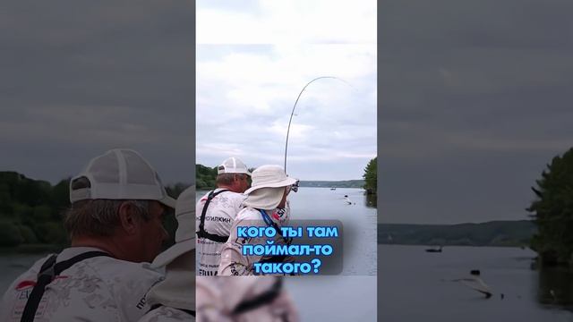 Что-то очень хорошее на микро-джиг  #fishing #norstream #рыбалка #new #спиннинг #микроджиг #щука